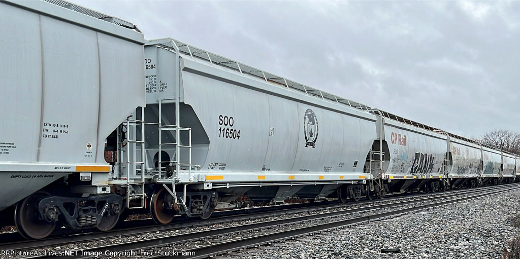 SOO 116504 is new to rrpa.